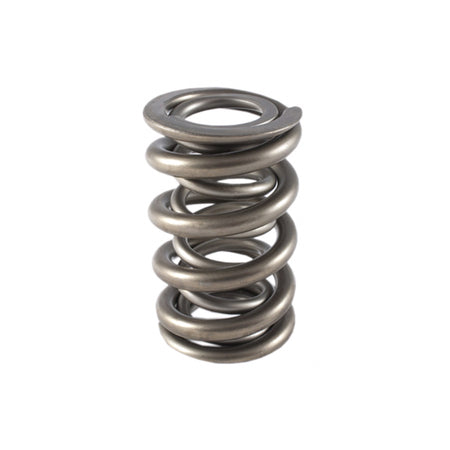 PAC 1.500 Dual Valve Spring (1 Pack)