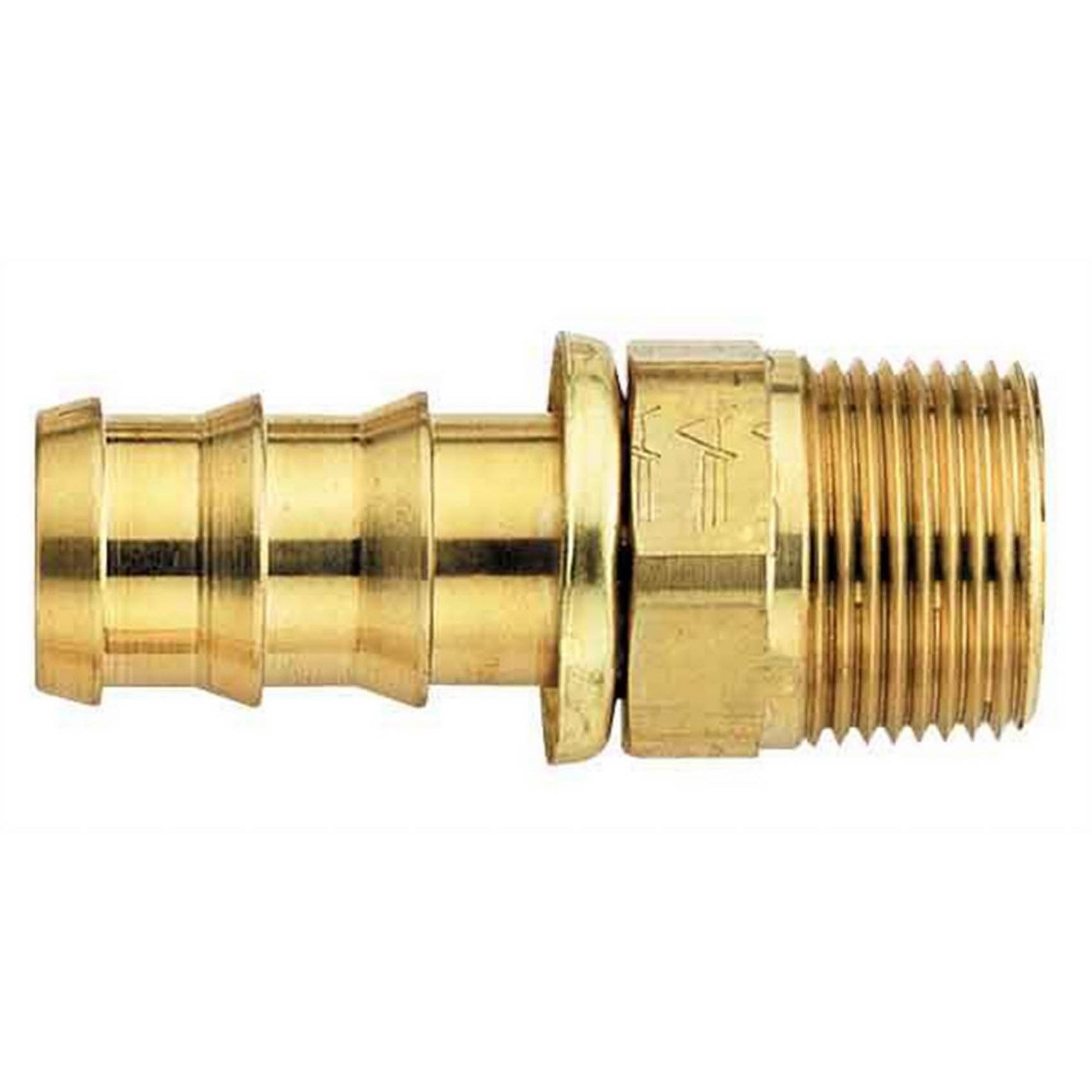 Aeroquip AQP Socketless Straight 4 AN Hose Barb to 1/8 in NPT Male Hose End - Brass