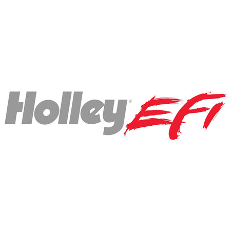 Holley Holley EFI Filter Regulator 3/8" NPT - Black