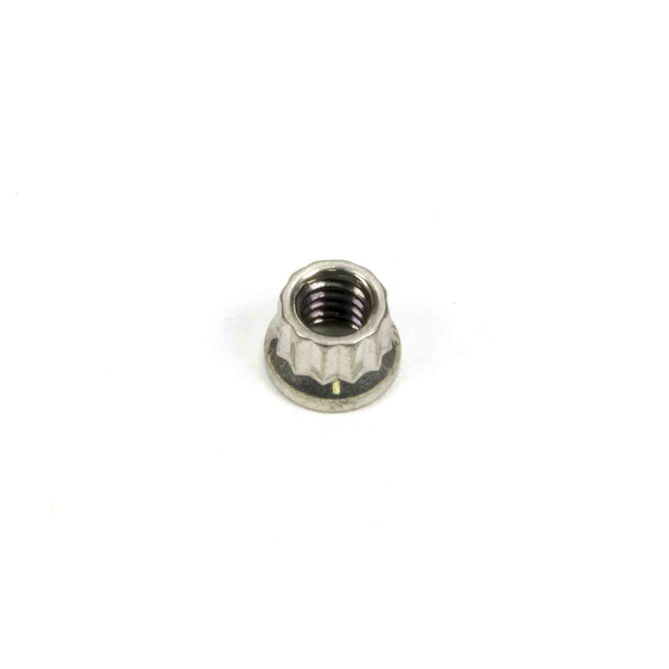 ARP Stainless Steel 12 Point Nut - 1/4-20 (1)