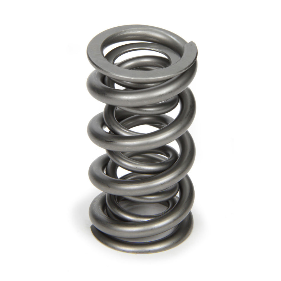 PAC Dual Valve Spring - (1 Pack)