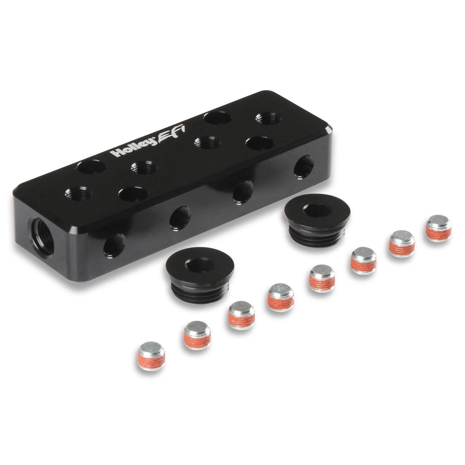 Holley EFI Vacuum Manifold - Twelve 1/8 NPT Ports - Two 6 AN ORB - Black