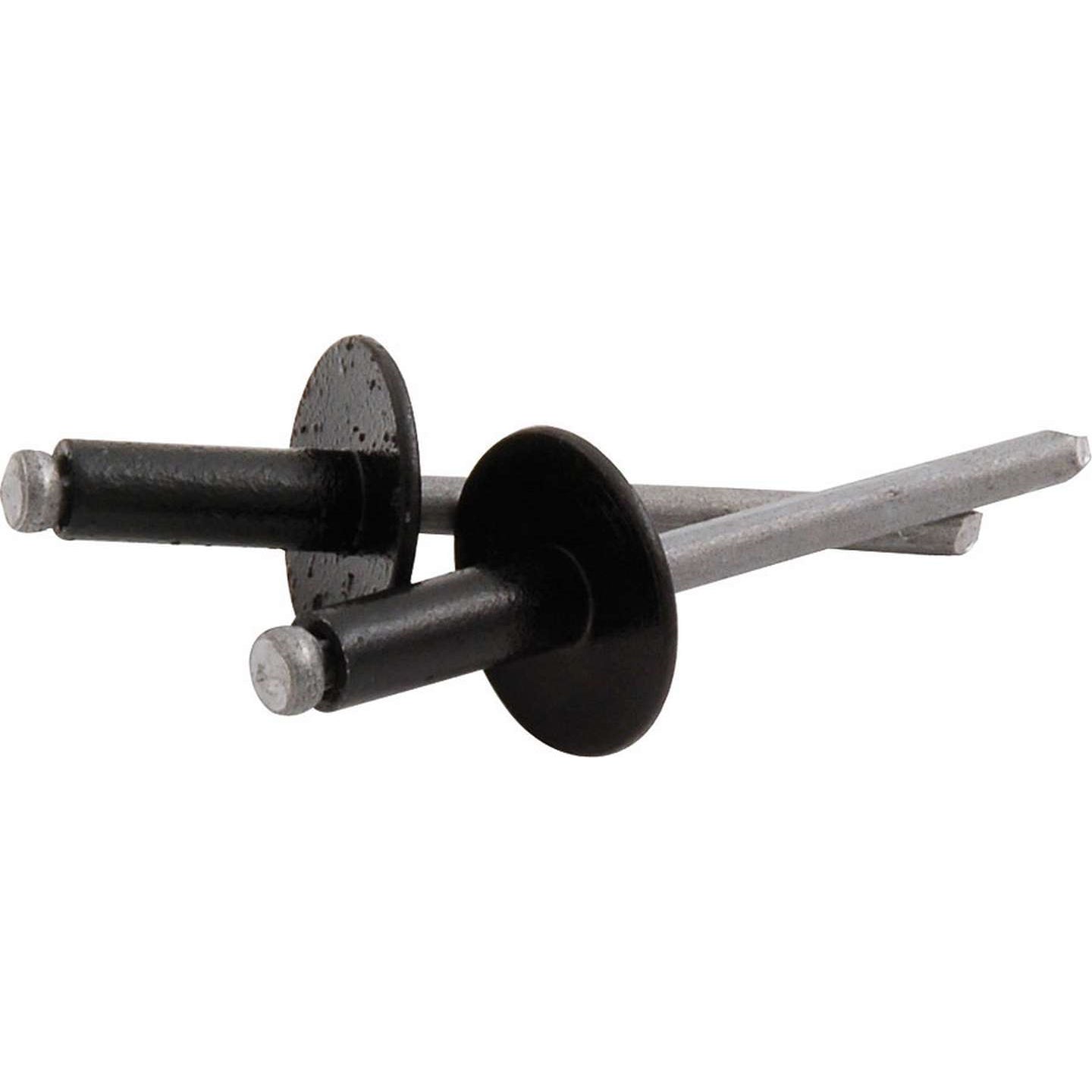 Allstar Performance 3/16" Large Head Rivets - Black - (250 Pack) - Steel Mandrel