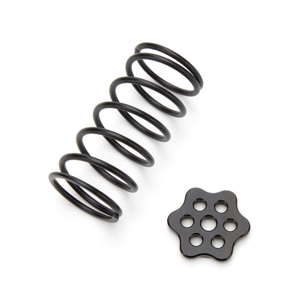 Ti22 Master Cylinder Return Spring - Black