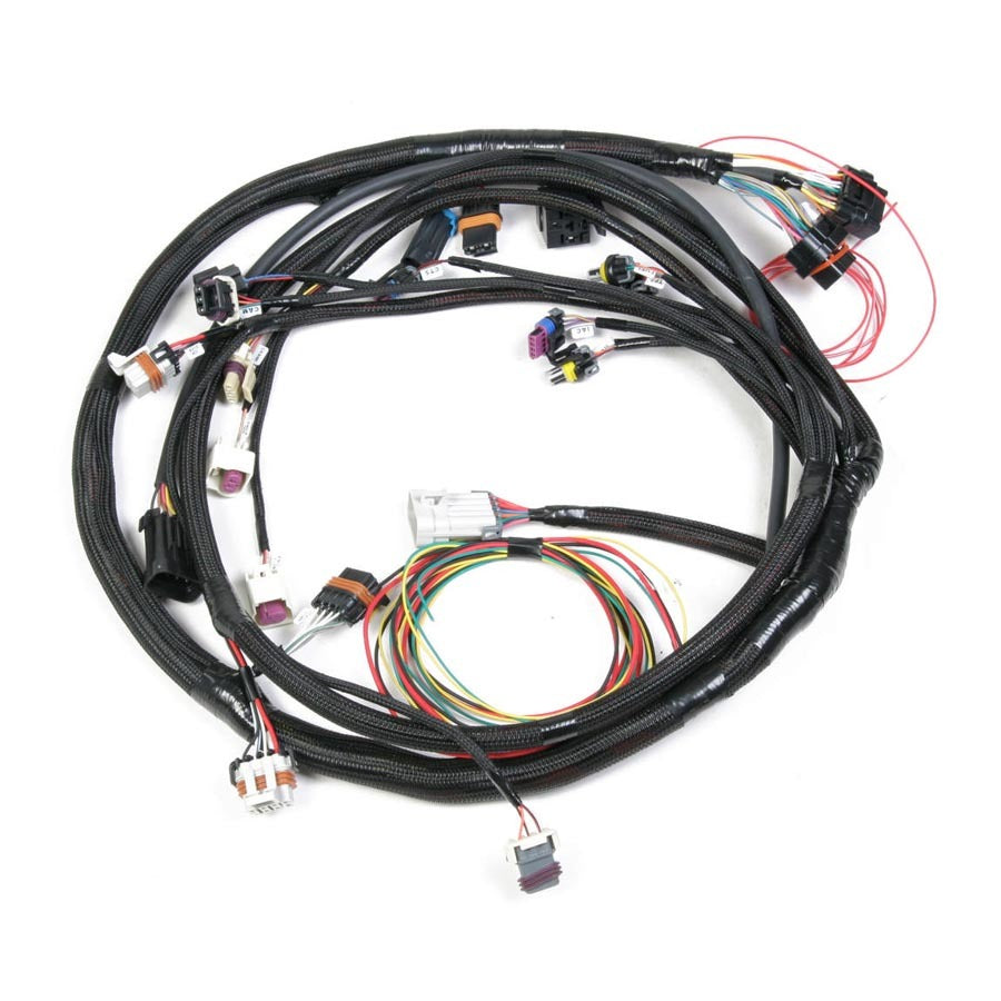 Holley EFI LS2 Main Harness for HP EFI & Dominator EFI