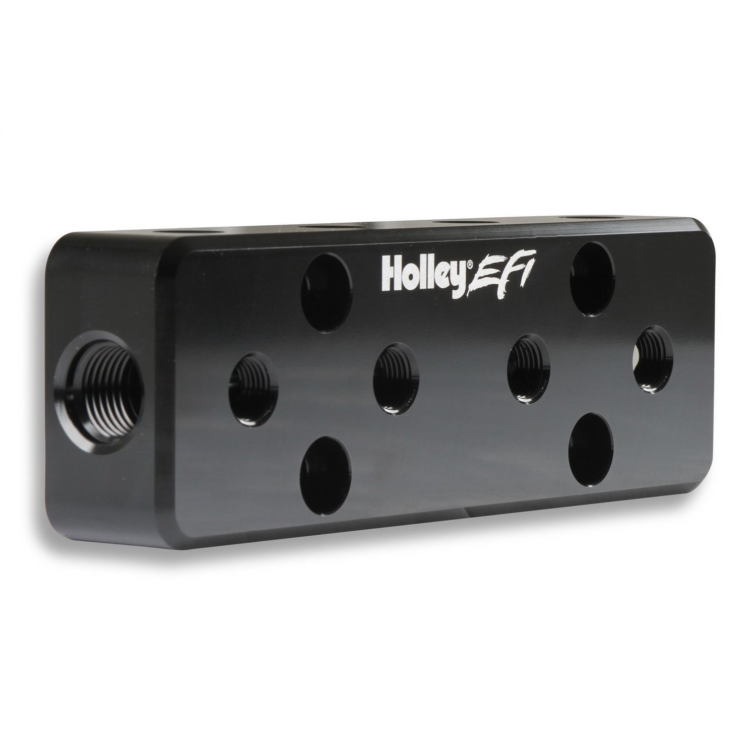 Holley EFI Vacuum Manifold - Twelve 1/8 NPT Ports - Two 6 AN ORB - Black