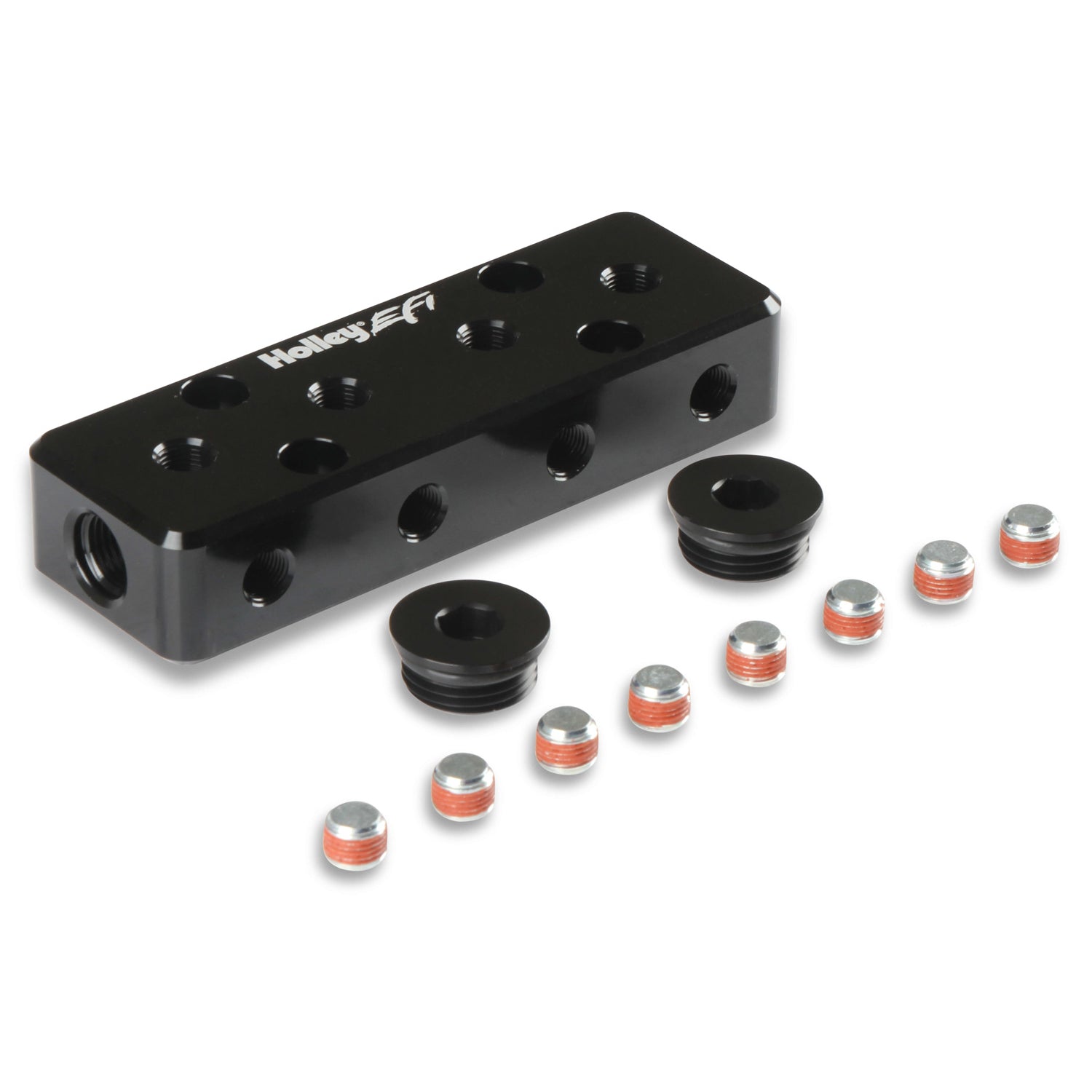 Holley EFI Vacuum Manifold - Twelve 1/8 NPT Ports - Two 6 AN ORB - Black