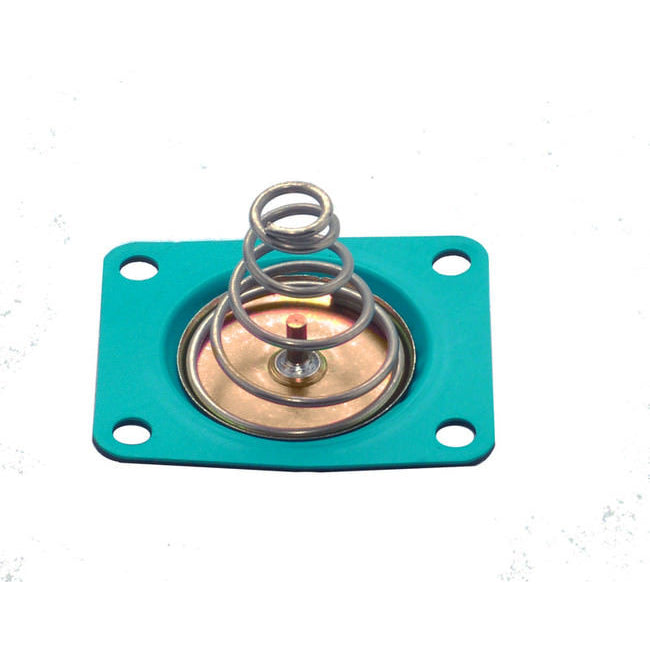 Quick Fuel Technology Alcohol Fuel Pump Diaphragm Quick Fuel Fuel Pumps