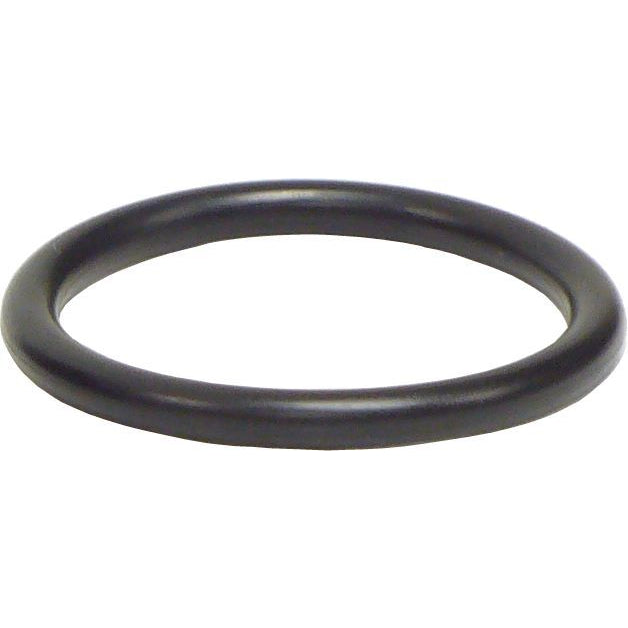 Brinn O-Ring