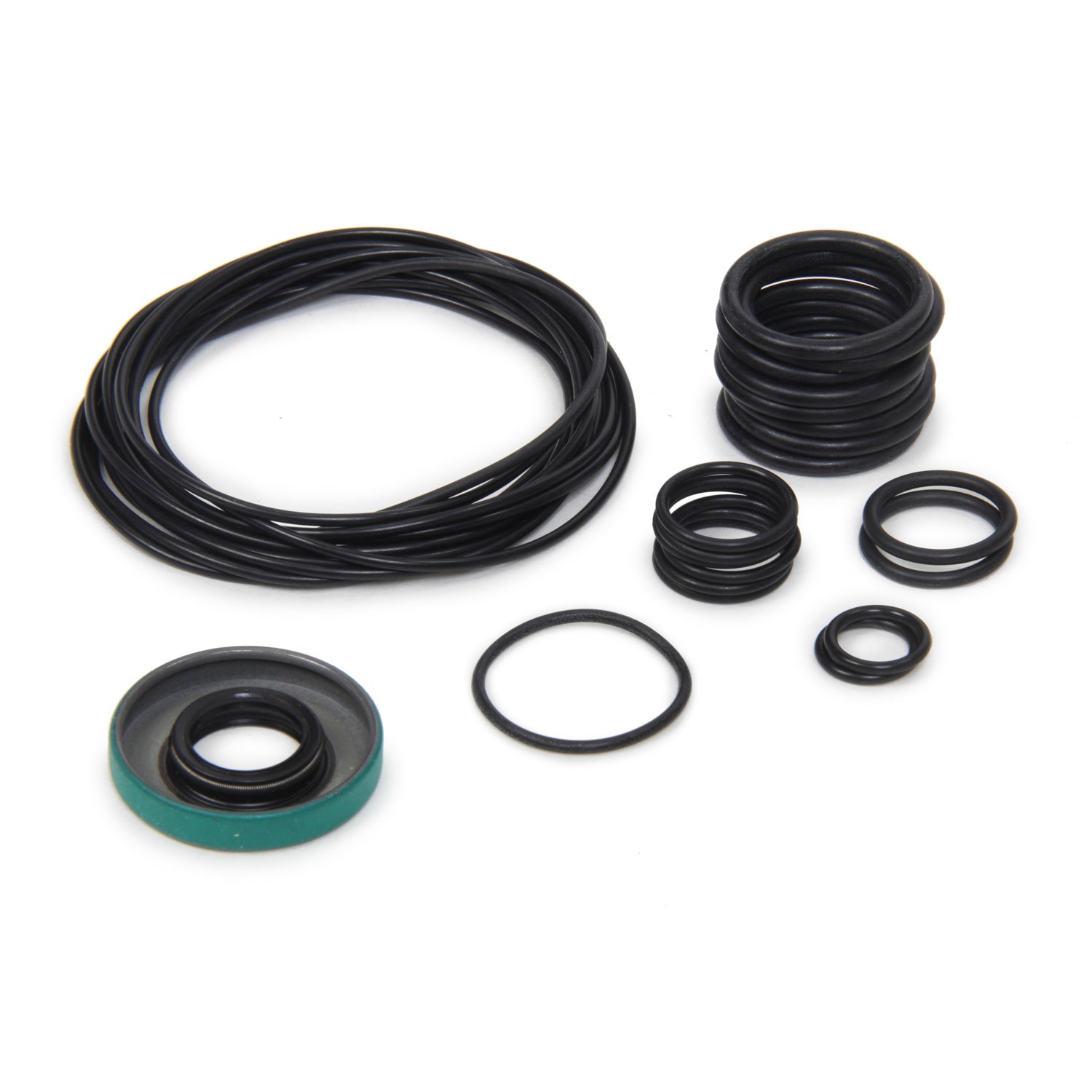 Barnes Fuel Pump Rebuild Kit - O-Rings/Seal - Barnes Dry Sump
