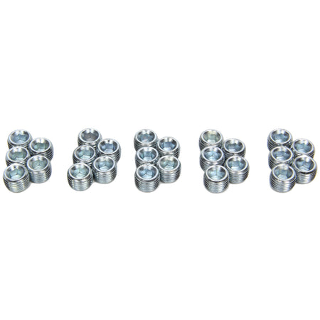 Pioneer 1/4- NPT Pipe Plugs 25 Pack w/Oil Relief Hole