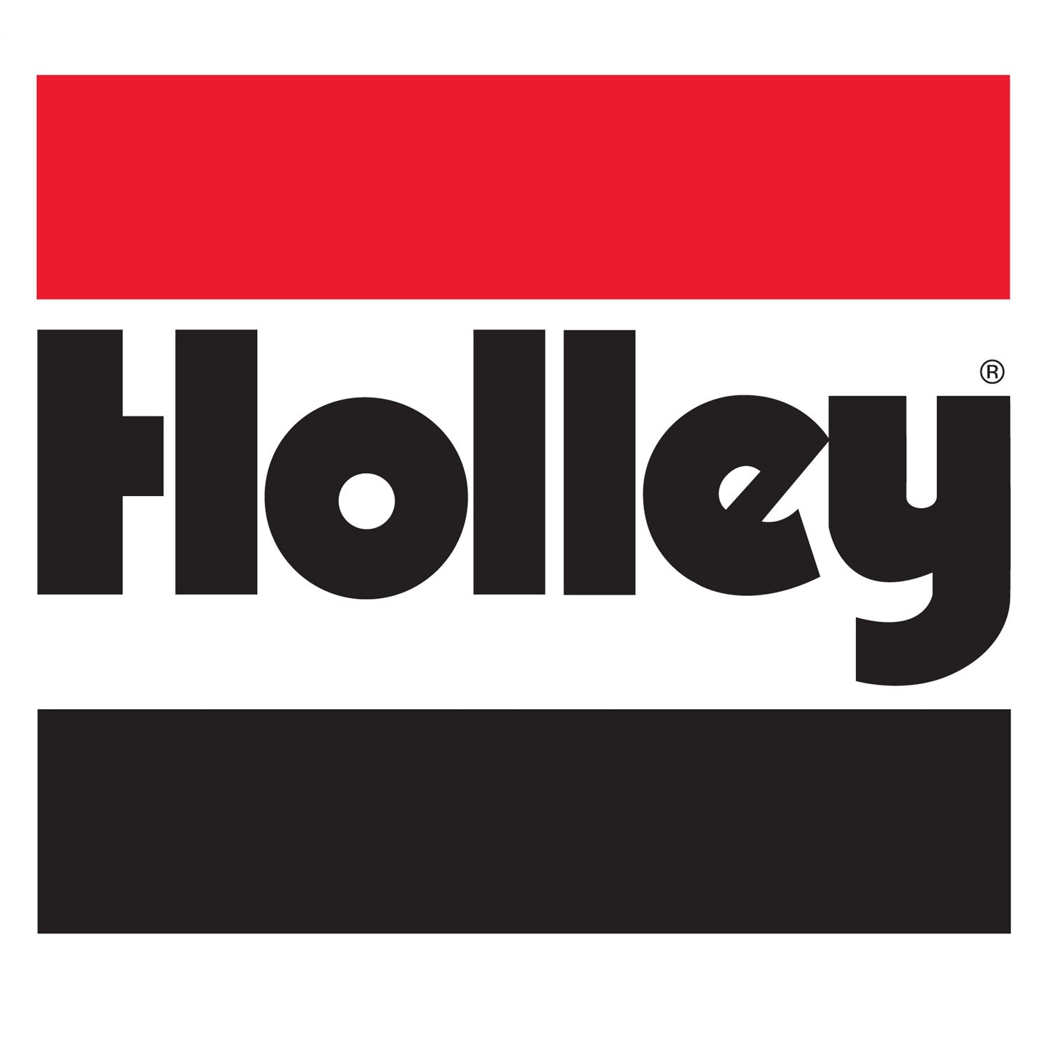 Holley Fuel Filter - In-Line