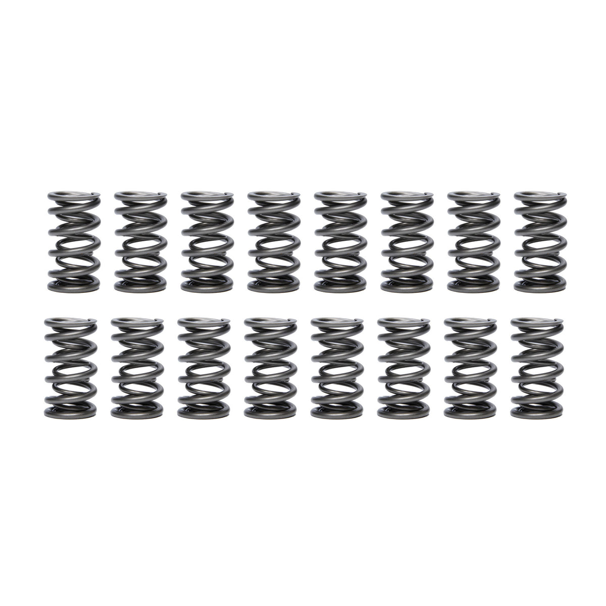 PAC Racing Springs 1.575 Dual Valve Springs - (16)