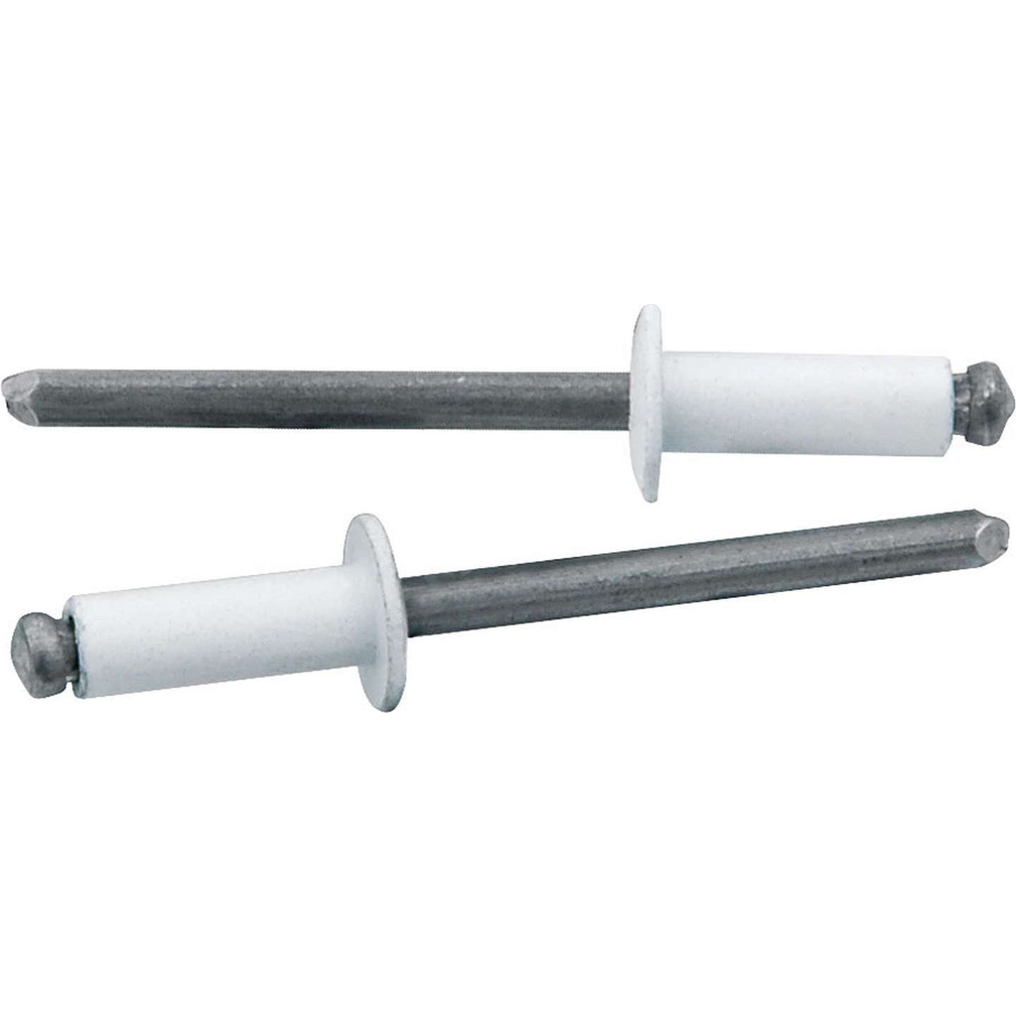 Allstar Performance 3/16" Small Head Rivets - White - (250 Pack) - Steel Mandrel