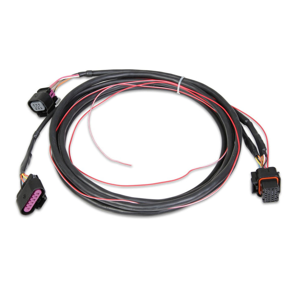 Holley EFI Dominator EFI GM Drive By Wire Harness