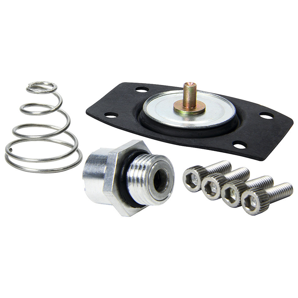 Allstar Performance Rebuild Kit for ALL40290
