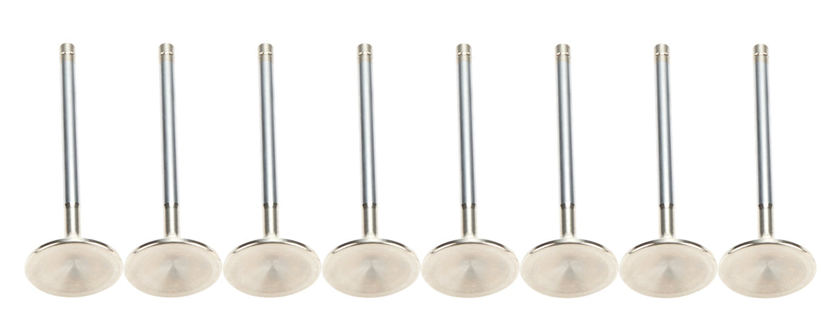AFR Stainless Exhaust Valve - 1.570 in Head - 8 mm Valve Stem - 5.030 in Long - Small Block Ford (Set of 8)