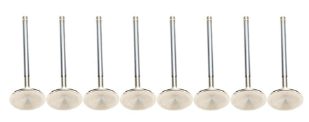 AFR Stainless Exhaust Valve - 1.570 in Head - 8 mm Valve Stem - 5.030 in Long - Small Block Ford (Set of 8)