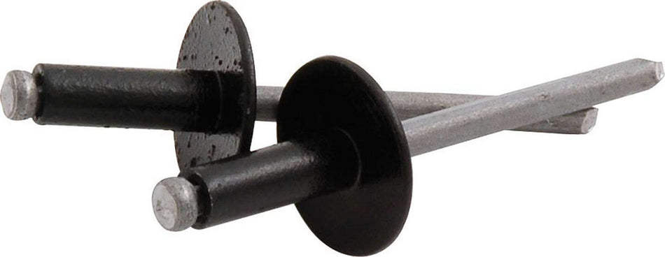 Allstar Performance 3/16" Large Head Rivets - Black - (250 Pack) - Steel Mandrel