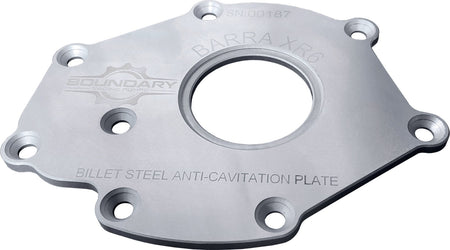 Boundary Oil Pump Back Plate - Polished - Ford Barra XR6 2012-16 - Each