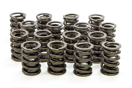 Isky Cams Dual Valve Springs w/ Damper - LS1