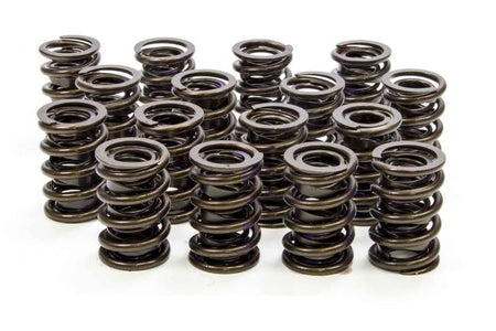 Isky Cams 1.530" Valve Springs