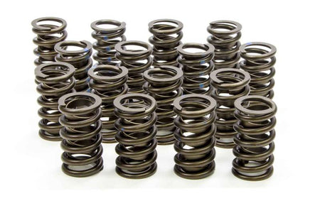 Isky Cams 1.490 Valve Springs