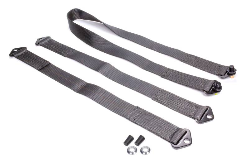 Crow Full Chassis Safety Tether - 1 in Wide - Nylon - Black - Sprint Car