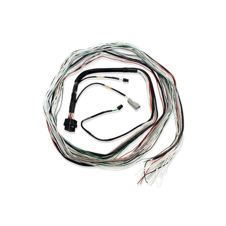 FuelTech FT600 ECU Blank Harness - 10 ft