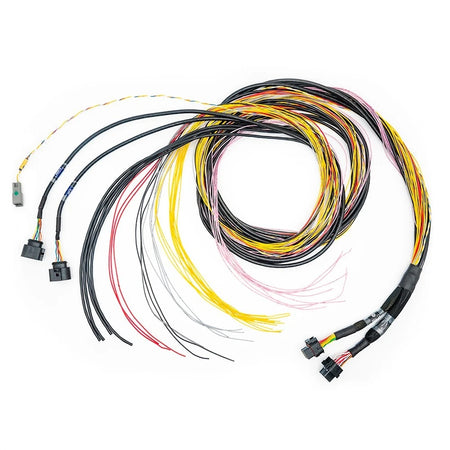 FuelTech Engine Control Harness - C / D-Harness - 10 ft - FT700 ECU