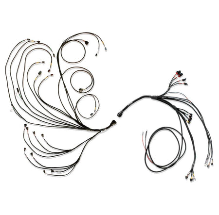 FuelTech FT600 ECU to Ford V8 Engine Control Harness