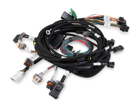 Holley EFI Terminated Main Harness - Ford Modular 1999-2004