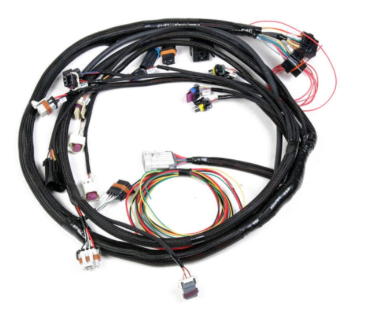 Holley EFI Plug-and-Play Engine Wiring Harness - Small Block Ford