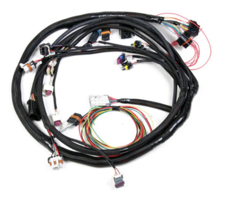 Holley EFI Plug-and-Play Engine Wiring Harness - Small Block Ford