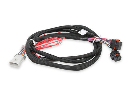 Holley EFI J2B Plug to Dominator ECU Module EFI Wiring Harness