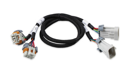 Holley EFI Coil Extension Harness - GM LS-Series - (Pair)