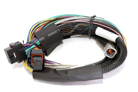 Haltech Elite Wiring Harness - ECU Basic Harness - 8 ft Long