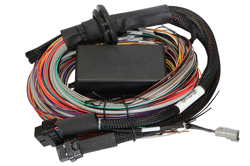 Haltech Elite Wiring Harness - ECU Premium Harness - 8 ft Long