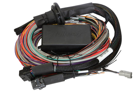 Haltech Elite Wiring Harness - ECU Premium Harness - 8 ft Long