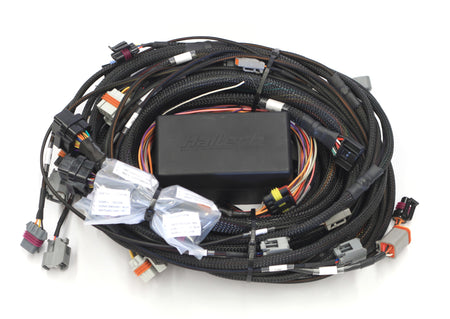 Haltech Elite 2500 DBW Retrofit Terminated Wire Harness Elite - Terminated