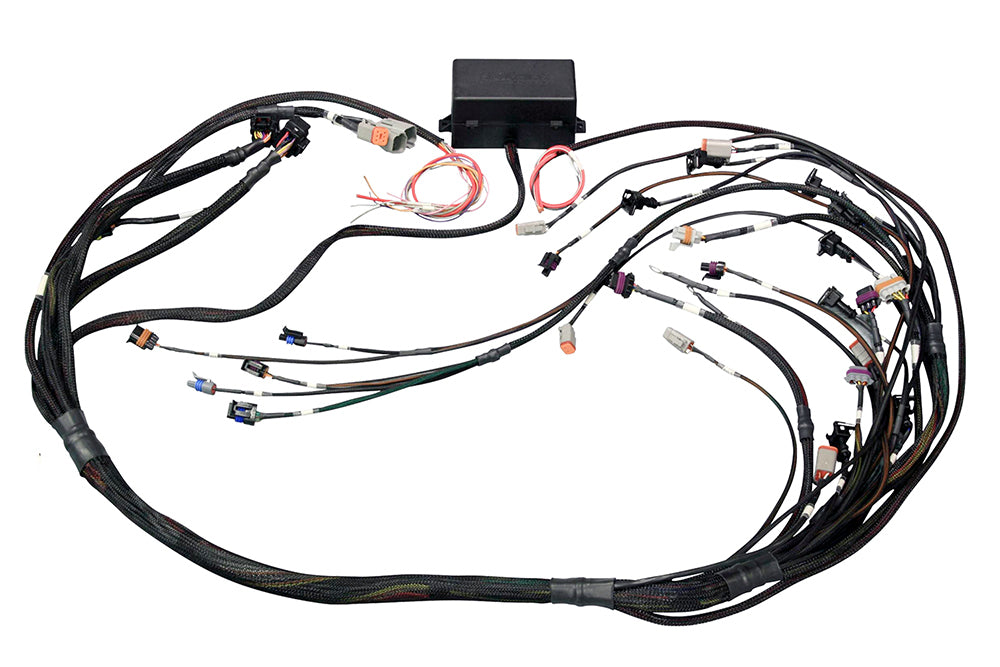 Haltech Elite 2000/2500 Non DBW Terminated Wire Harness Elite - GM LS-Series HT-141364