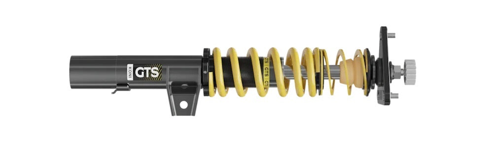 Koni GTS Twintube Coil-Over Conversion Kit - Single Adjustable - Gray - BMW 3 / 4 Series 2012-16