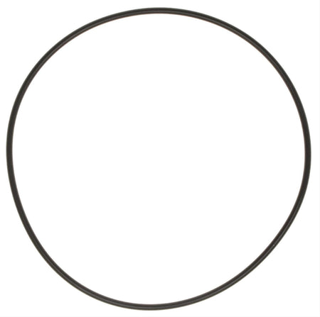 MAHLE Original Water Pump Backing Plate - 0.1 in Thick - GM LS-Series - (Pair)