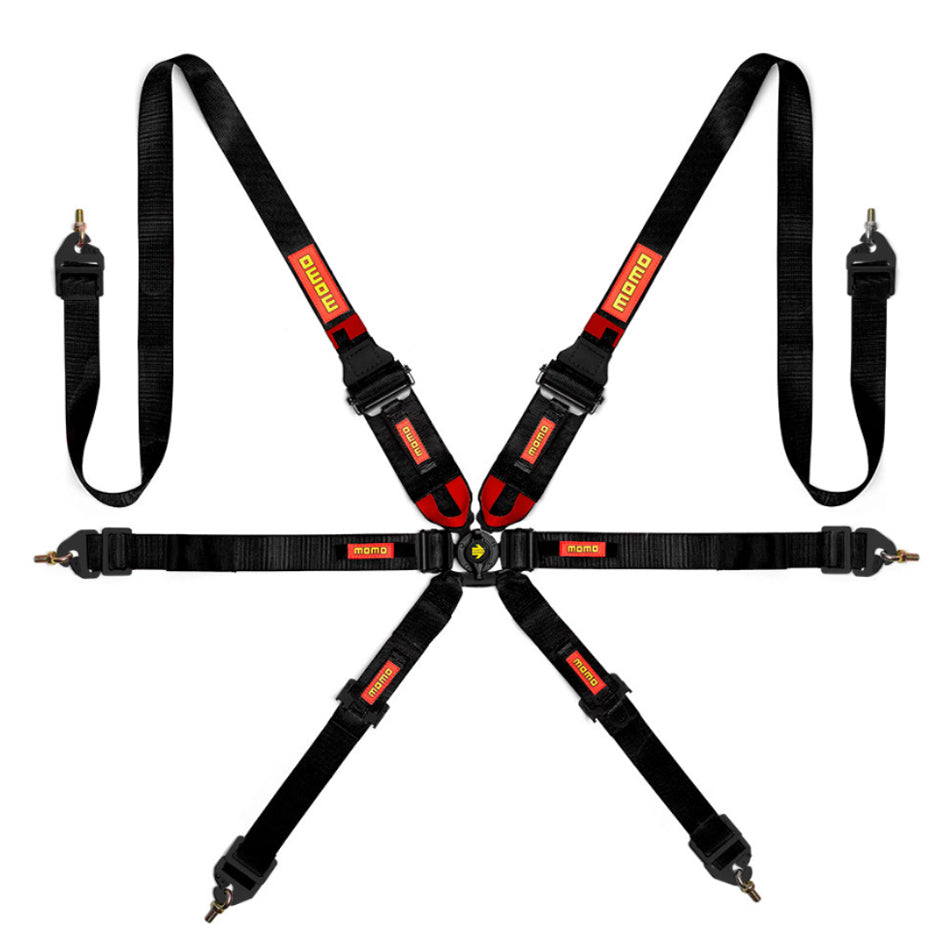 Corsa 6-Point HANS Harness - Black
