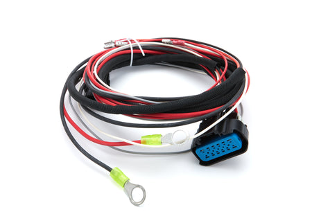 MSD MSD 6CT Wiring Harness Replacement Cable