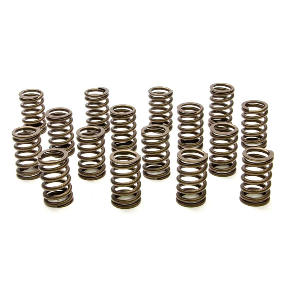 PAC RPM Series Valve Spring - Ovate Beehive Spring