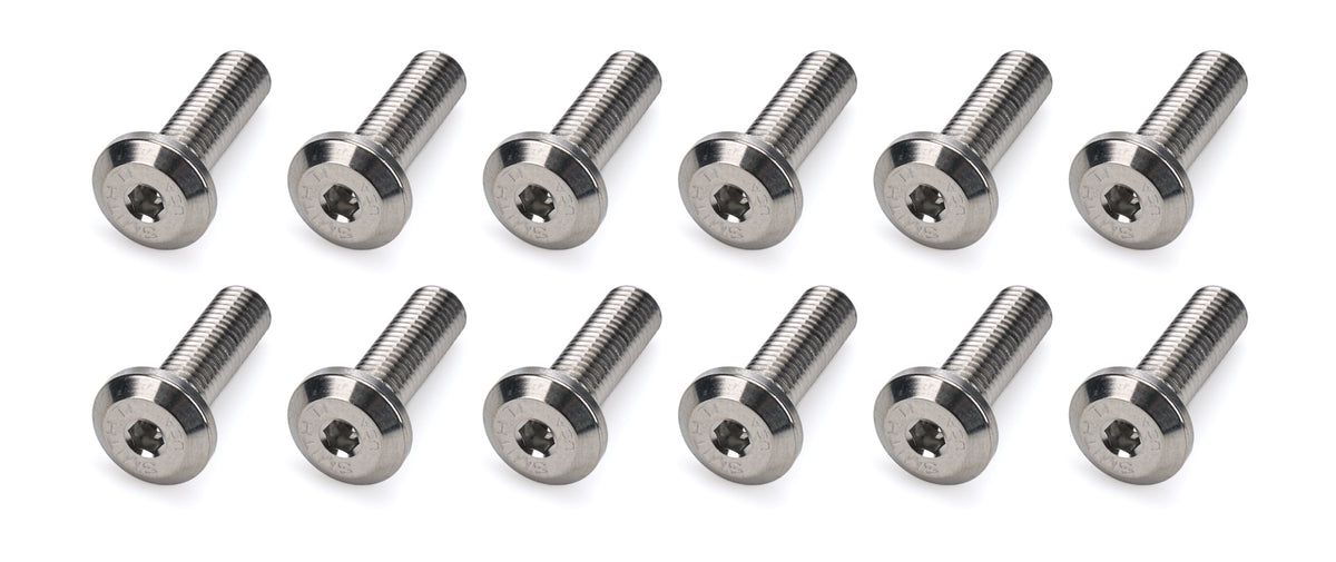 Ti22 Titanium Fuel Cell Plate Bolt - 1/4-28 in Thread - 0.875 in Long - Button Head (Set of 12)