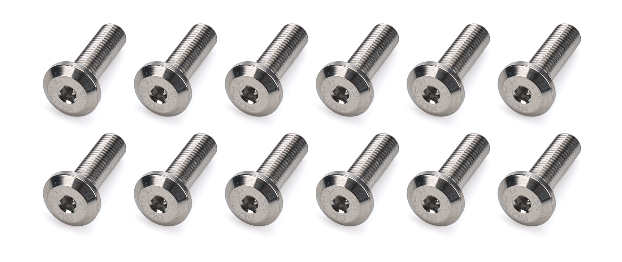 Ti22 Titanium Fuel Cell Plate Bolt - 1/4-28 in Thread - 0.875 in Long - Button Head (Set of 12)