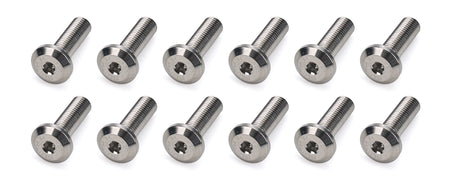 Ti22 Titanium Fuel Cell Plate Bolt - 1/4-28 in Thread - 0.875 in Long - Button Head (Set of 12)