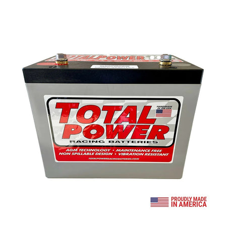 Total Power Battery AGM 16V Battery - 725 Cranking amps - 10.25 in L x 8.25 in H x 6.25 in W